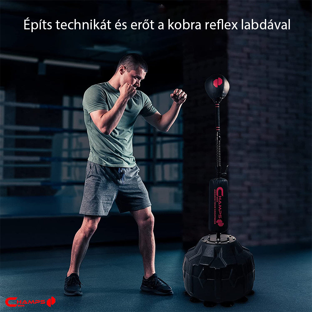 reflexlabda boxzsák edzés közben, bokszolóval sötét tornatermi jelenetben